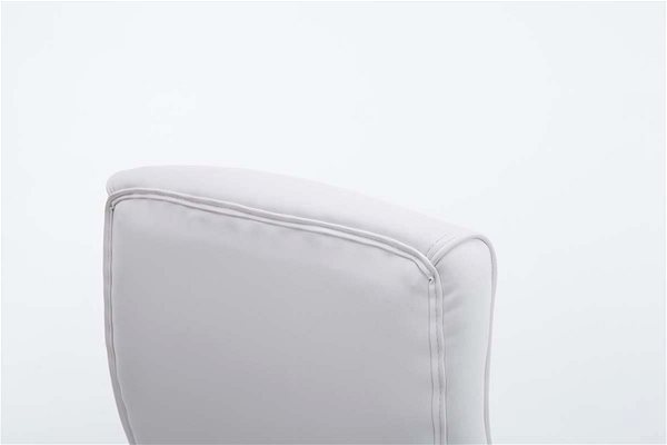 Office Chair BHM Germany Lausanne, White Features/technology