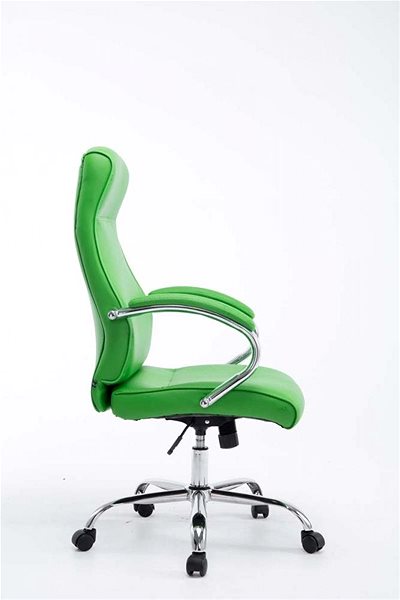 Office Chair BHM Germany Lausanne, Green Lateral view