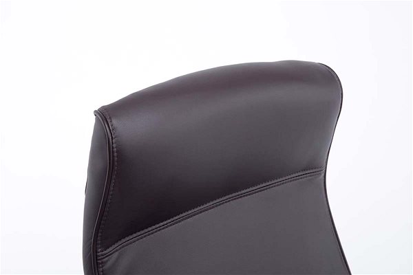 Office Chair BHM Germany Lausanne, Brown Features/technology