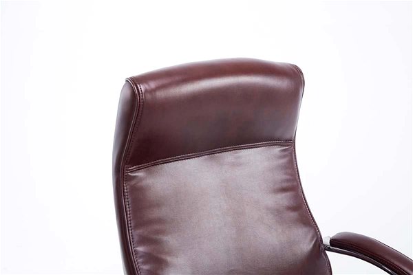 Office Chair BHM Germany Lausanne, Red-brown Features/technology
