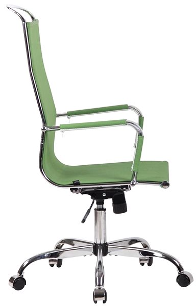 Office Chair BHM Germany Branson, Green Lateral view
