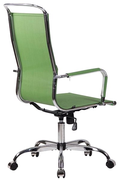 Office Chair BHM Germany Branson, Green Lateral view