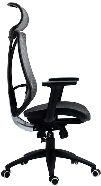 Office Chair BHM Germany Libolo, Grey Lateral view