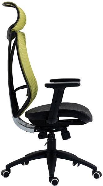 Office Chair BHM Germany Libolo, Green Lateral view