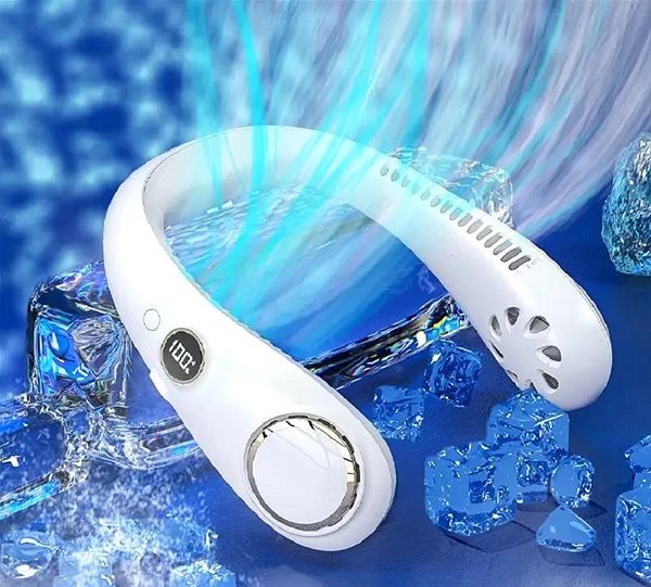 Fan Xiamen Comfortlife Electronics BL - 211 ...