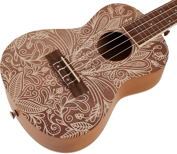 Ukulele BAMBOO U-23 Elixir-S ...