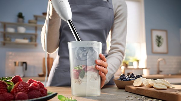 BOSCH MSM24100 hand blender.