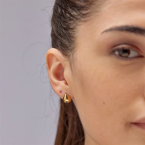 Brosway Perfect BPC41 earrings.