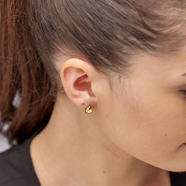 Brosway Perfect BPC41 earrings.
