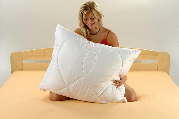 Párna Brotex Classic 70 x 90 cm, 700 g STANDARD ...