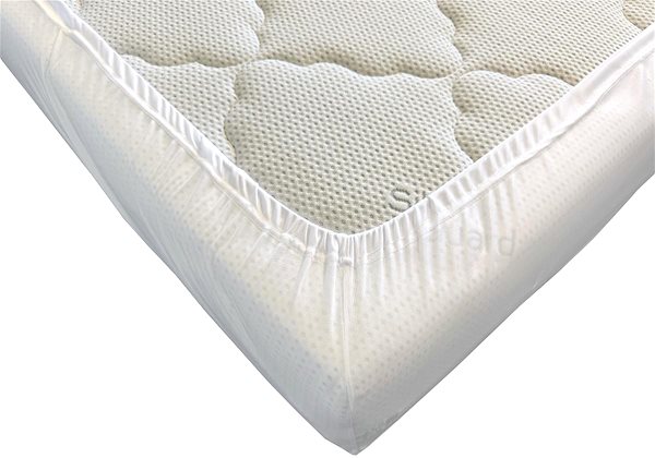 Plachta na posteľ Brotex Nepriepustná plachta na posteľ TENCEL s elastickými bokmi, 200 × 200 cm ...