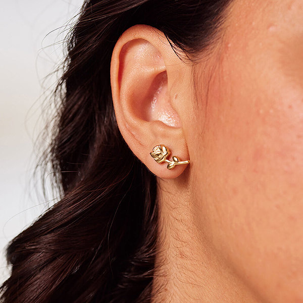 Brosway Chakra BHKE199 earrings.