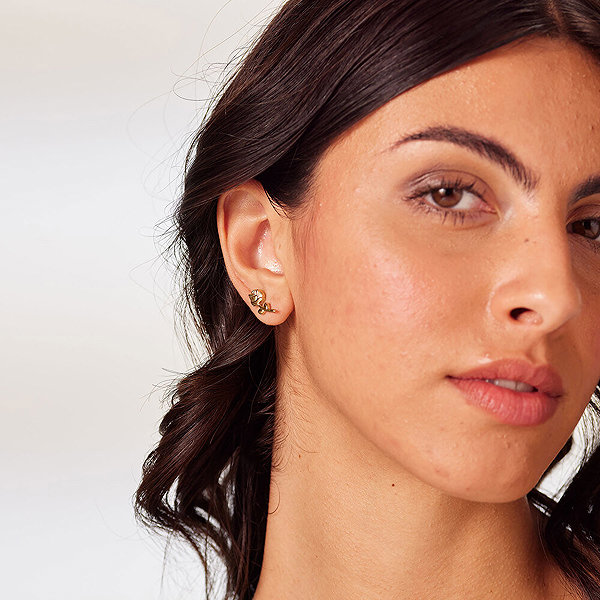 Brosway Chakra BHKE199 earrings.