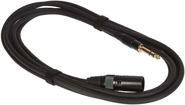 AUX Cable BESPECO EASX300 Screen