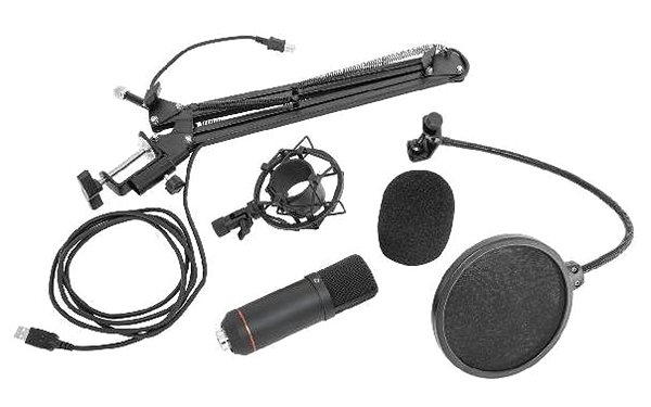 Mikrofón BST STM300PLUS ...