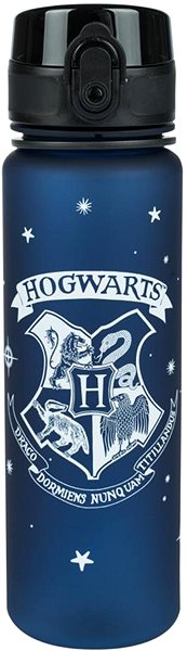 Trinkflasche BAAGL Harry Potter Hogwarts ...