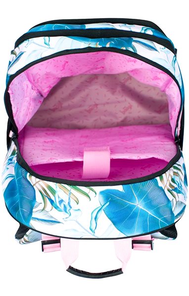 School backpack BAAGL Skate Leafs .