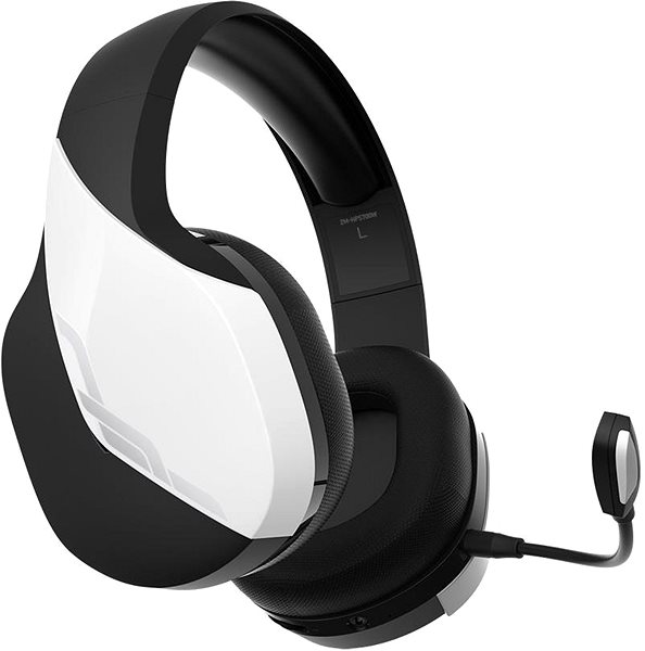 Zalman HPS700W gaming headset.