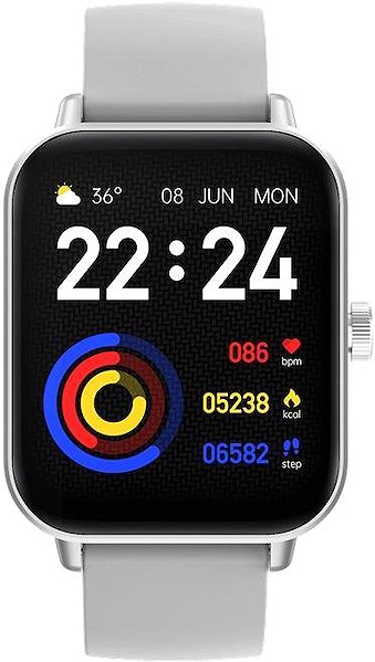 Smart Watch CARNEO Versa HR+ silver ...