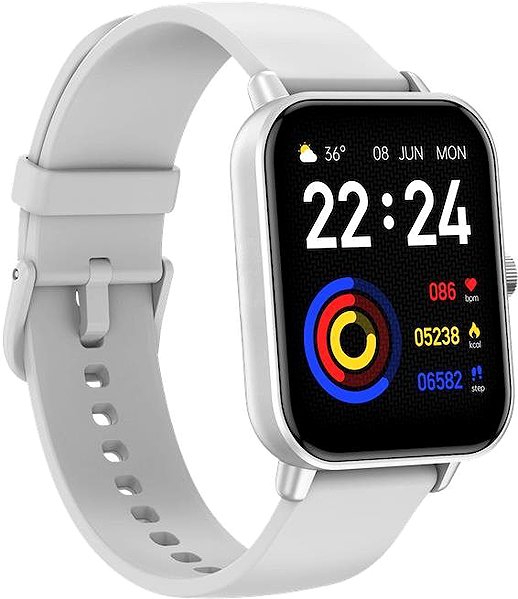 Smart Watch CARNEO Versa HR+ silver ...