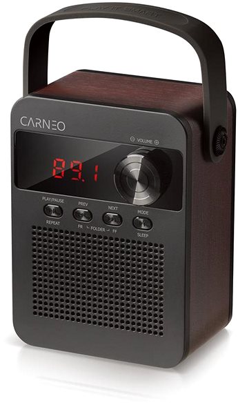 Rádio CARNEO F90 black/wood ...