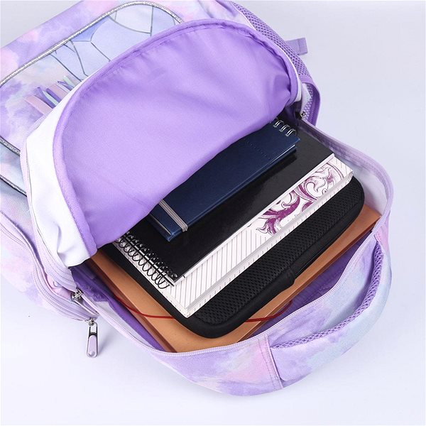 School backpack Cerda School backpack Frozen II Elza 42 cm .