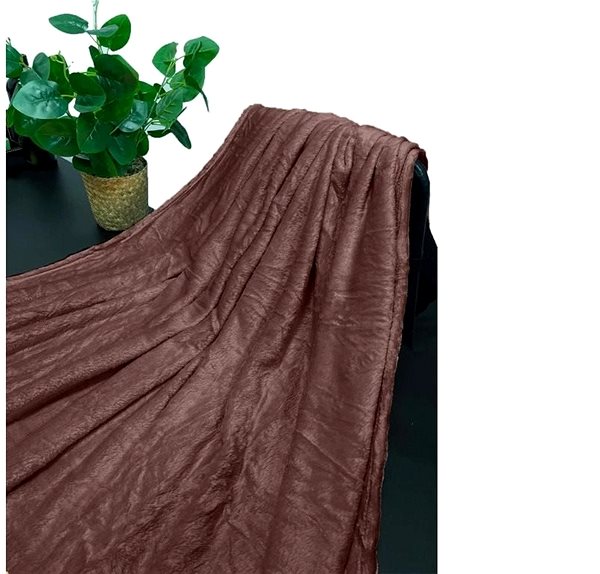 Deka Kaptan Mikroflanelová deka 150 × 200 cm, hnedá ...