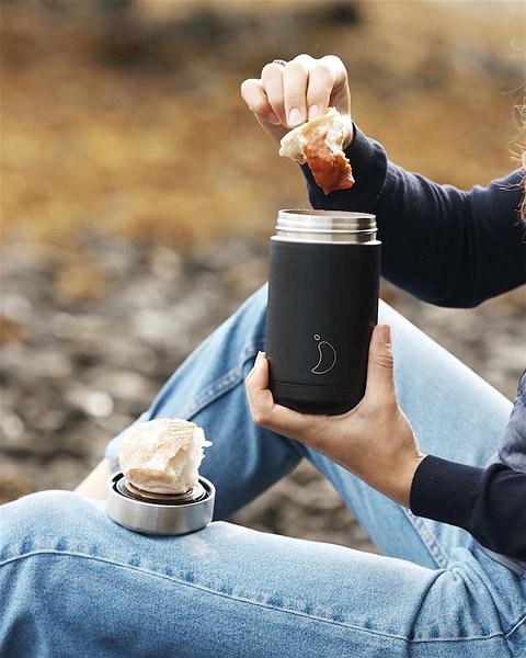 Thermos Chilly's Bottles Thermobox for food grey 500 ml, Original edition ...