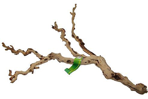 Terrarium decoration Lucky Reptile Grapevine Premium 80-100 cm .