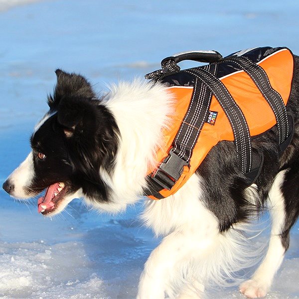Plávacia vesta pre psov Rukka Safety Life Vest plávacia vesta oranžová 10 – 20 kg, M ...