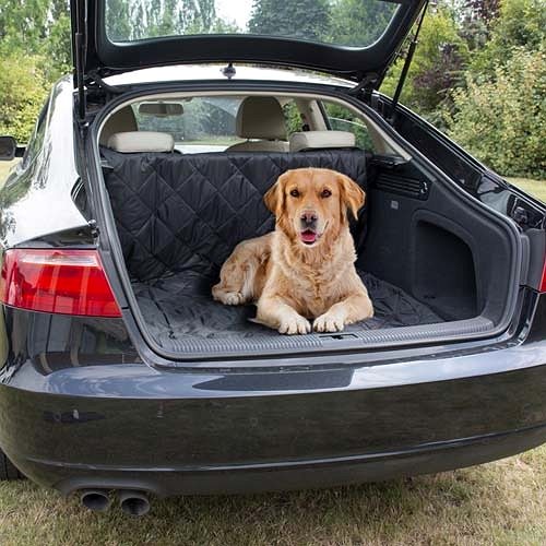 Deka pre psa do auta DUVO+ Ochranná deka do kufra auta 147 × 120 cm čierna ...