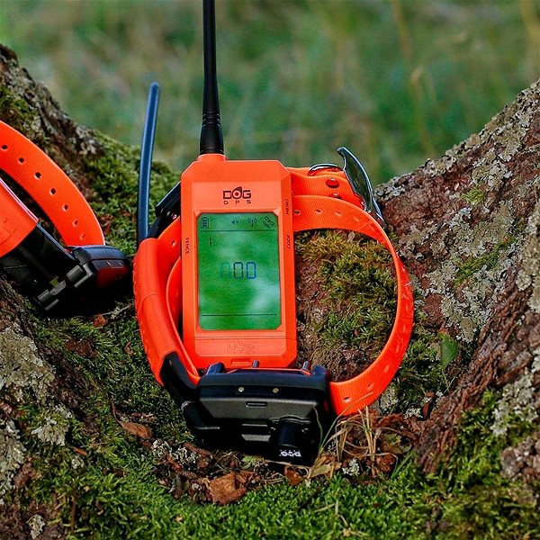 Elektrický obojok Dogtrace Vyhľadávacie a výcvikové zariadenie so zvukovým lokátorom DOG GPS X30TB Short ...