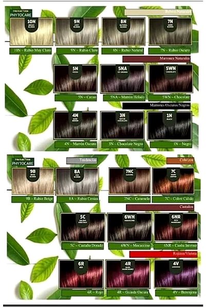 Hair Dye HERBAL TIME Phytocare natural Vegan 6R red 130 ml ...