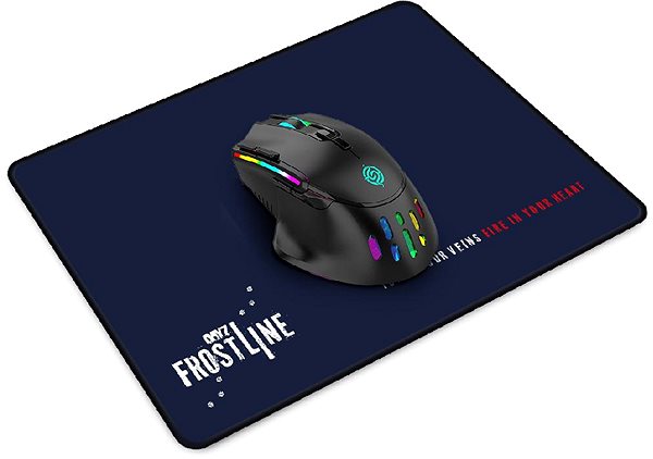 Mouse Pad DayZ Frostline Mousemat Small 350 × 250 mm ...
