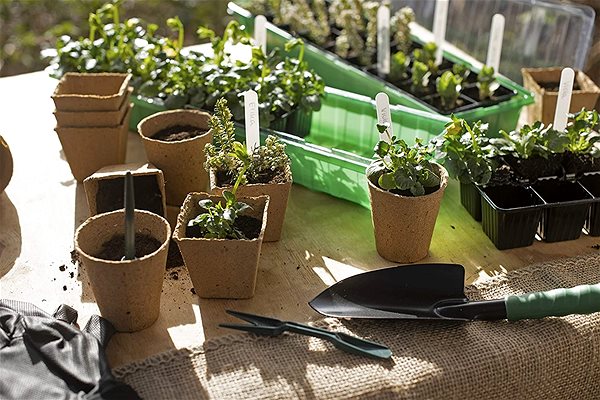 MEISTER 24 Plant Pots for Seedlings, 6 x 6 cm.