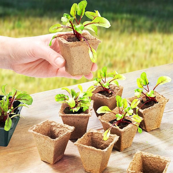 MEISTER 12 Plant Pots for Seed Starting, 8 × 8 cm.