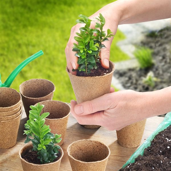 MEISTER 16 Plant Pots for Propagation, diameter 8cm