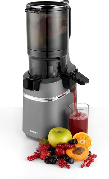 Juicer Concept LO7120 JUICY 250 W ...