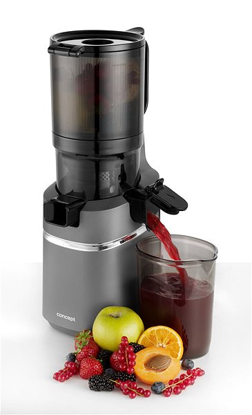 Juicer Concept LO7120 JUICY 250 W ...
