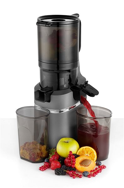 Juicer Concept LO7120 JUICY 250 W ...