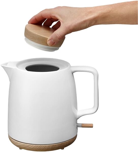 Electric Kettle Concept RK0085 ...