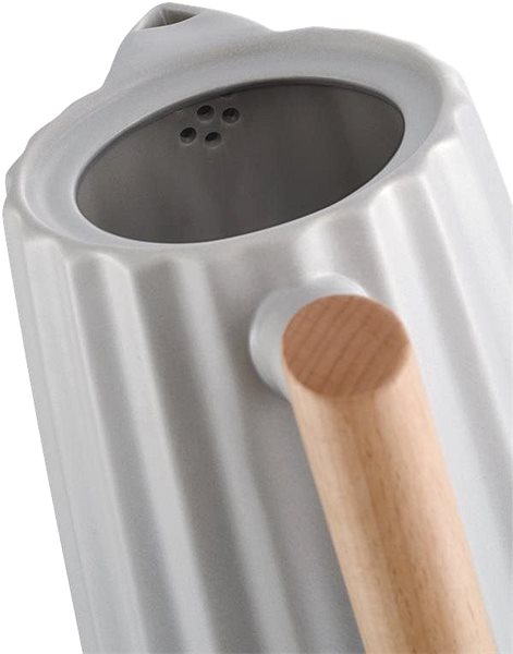 Electric Kettle Concept RK0091 ...