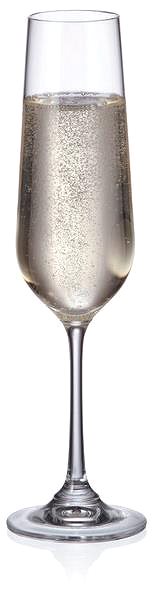 Üvegpohár CRYSTAL BOHEMIA Pezsgőspohár 6 db 200 ml STRIX ...
