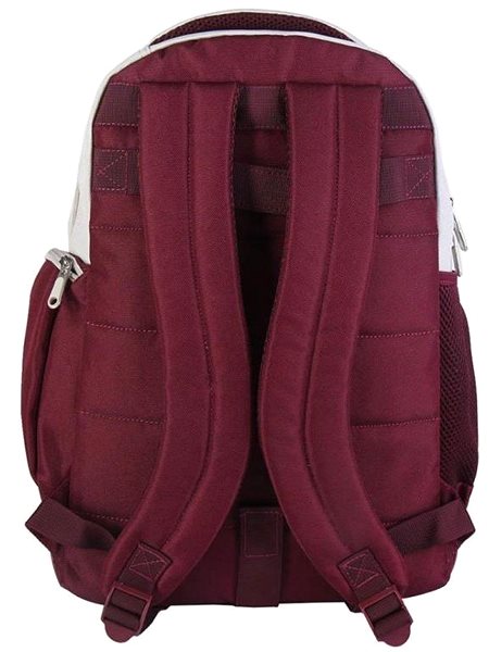 School backpack CERDÁ GROUP Harry Potter: Gryffindor - school backpack .