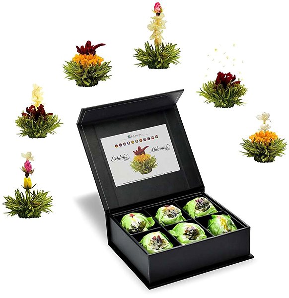 Tea Creano Green Tea Collection, 6 pcs .