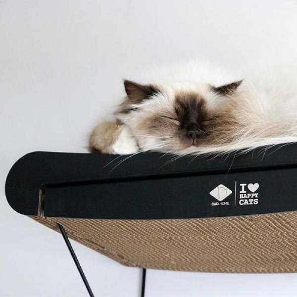 Škrabadlo pre mačky EBI D&D I Love Happy Cats David – Nástenná kartónová pohovka pre mačky zakrivená 60 × 29 × 24 cm ...