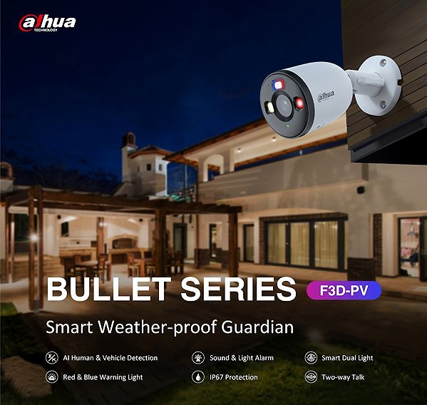 Dahua IP camera F3D-PV .