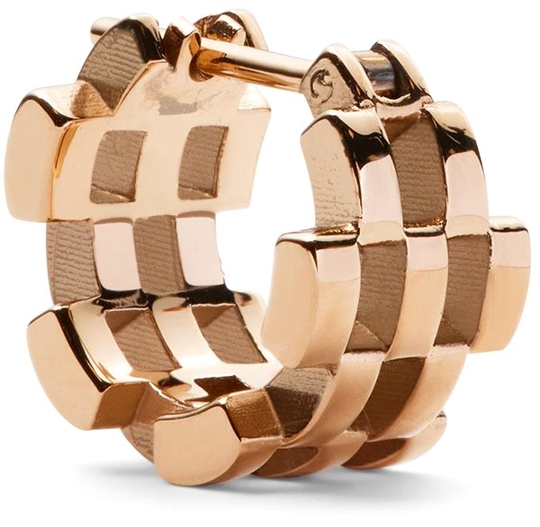 Daniel Wellington women's steel 5-Link earrings DW00400960.