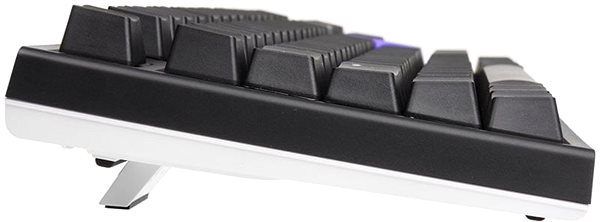 Gaming-Tastatur Ducky ONE 2 Backlit PBT, MX-Speed-Silver, RGB LED - schwarz - DE Seitlicher Anblick