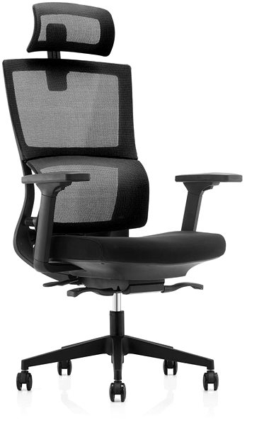 Kancelárska stolička DALENOR Grove, ergonomická, sieťovina, čierna ...